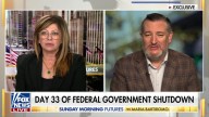 Cruz Shares His Government Shutdown Conspiracy Theory