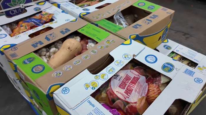 SNAP shutdown stretches into second week, impacting Central Florida families