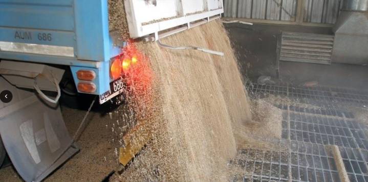 La harina de soja vuela: precios en máximos de siete meses y molienda argentina en su mejor nivel del año