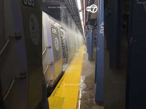Commuters Soaked as Water Pours Through New York Subway Station Ceiling
