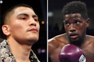 Vergil Ortiz Jr. vs. Erickson Lubin Stats and Prediction: Record, Age, Height, Weight, Reach, Rankings, and Knockout Ratio Ahead of their big fight in Fort Worth, let's check out how Vergil Ortiz Jr. 