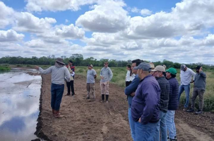 La Región Albigasta tiene como eje los bosques, cultivos y la ganadería
