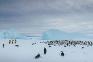Quark Achieves Helicopter Access to Emperor Penguin Colony