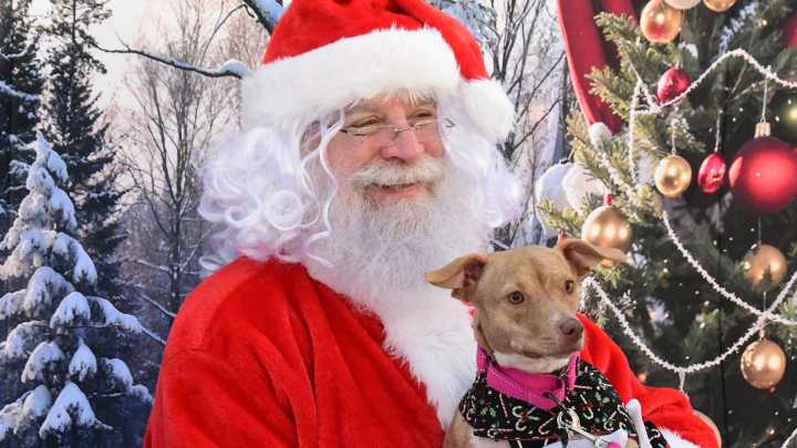 Get ready for Santa Claus! List of 2025 Christmas parades in Florida