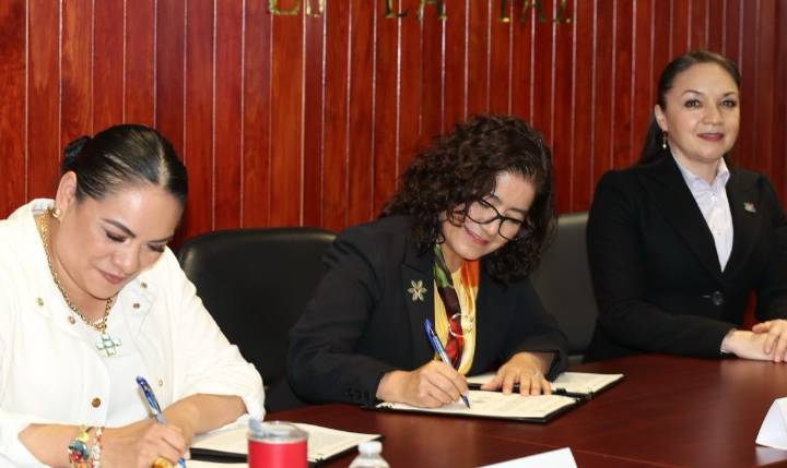 UAEMÉX Y SECRETARÍA DEL MEDIO AMBIENTE EN PRO DEL DESARROLLO SOSTENIBLE