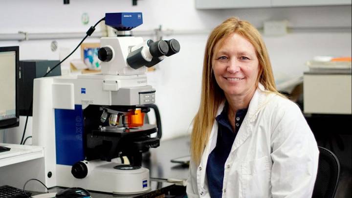 Del laboratorio al campo: científica argentina premiada por su aporte para que las plantas soporten las olas de calor