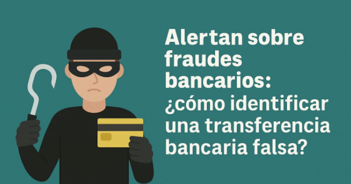 Alertan sobre fraudes bancarios: ¿cómo identificar una transferencia bancaria falsa?