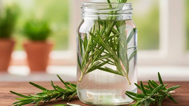 Agua de romero para el pelo: por qué se recomienda y qué beneficios tiene