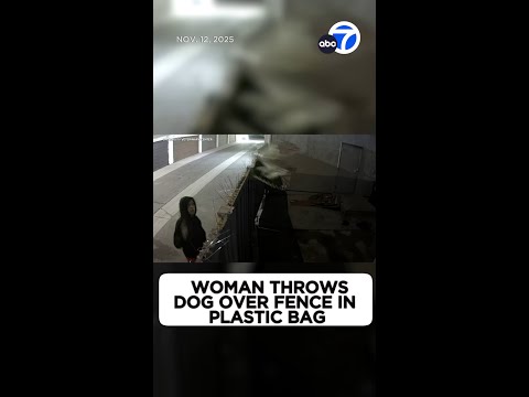 Video shows woman throwing dog over fence in plastic bag in Anaheim