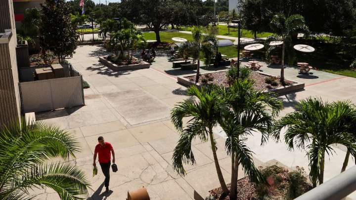 Florida college enrollment projected to increase for third straight year