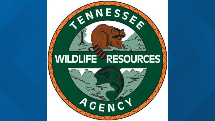 One person dead after boating collision in Union County near Highway 33 bridge, TWRA said