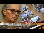 N4T Investigators: Former Tucson pet groomer sentenced to 36 months probation for bulldog's death