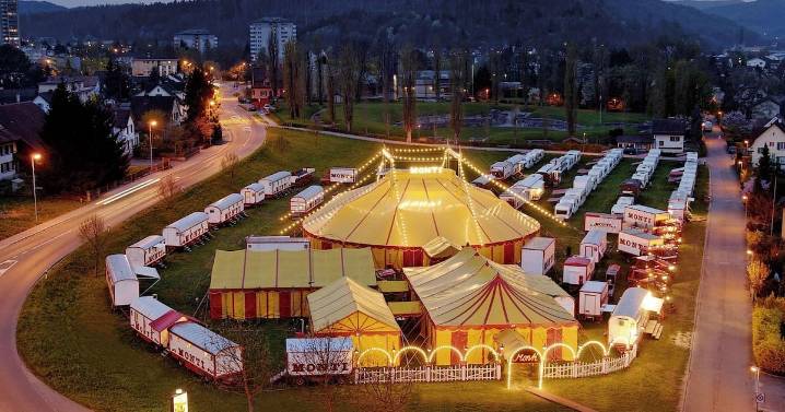 Cancelan funciones del Circo de Dinosaurios en SLRC