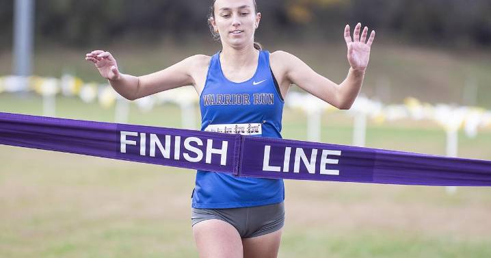 Lewisburg, Danville dominate HAC cross