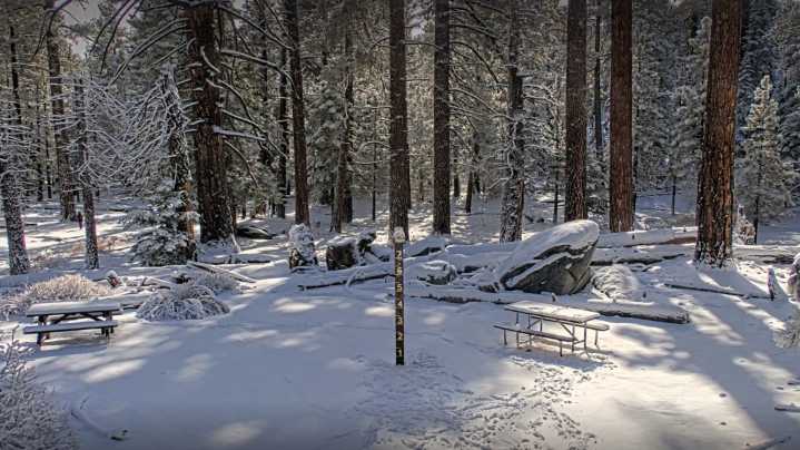 Tram snow guessing contest ends after season's first inch measured