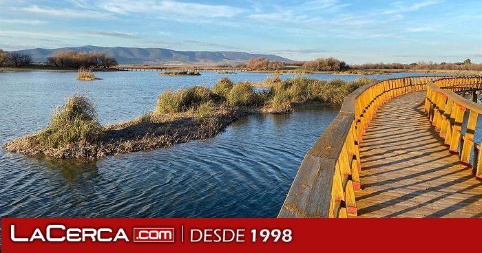 Ecologistas alertan de la aparición de gripe aviar en las Tablas de Daimiel y reclaman revisar la gestión del parque