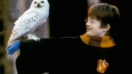 'Harry Potter and the Sorcerer's Stone' Gets Shared Reality Experience
