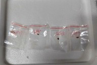 Chinese scientist to be deported after pleading guilty in fungus smuggling case