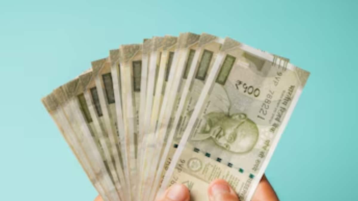 Rajasthan Man Quit Rs 1.3 Lakh Job To Travel, Now Earns Rs 2.5 Lakh A Month From Homestay Business. Internet Has Doubts