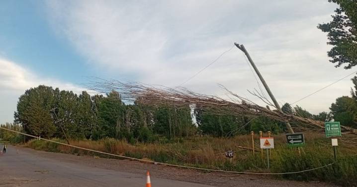 Masivo apagón en Allén y Balsa Las Perlas este sábado: el viento arrojó árboles sobre las líneas troncales