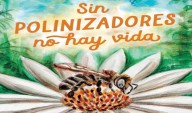 Historieta enseña a niños rol vital de abejas en la reproducción de plantas y conservación del ambiente