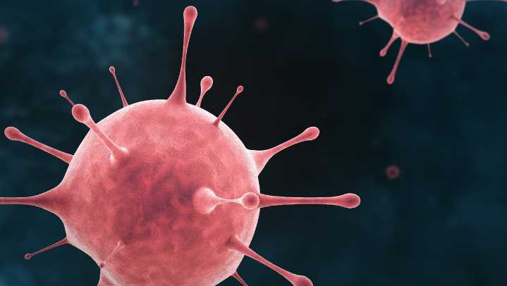 Drenaje, el increíble lugar donde se estudia influenza y covid