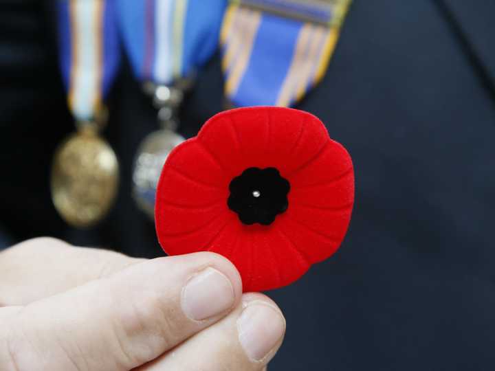 Top N.S. judges support ban on staff wearing poppies in courtrooms