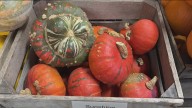 Grow with KARE: Storing squash for the winter