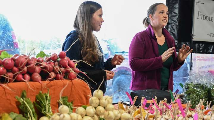 Risky business: Farm safety net policies don't catch everyone