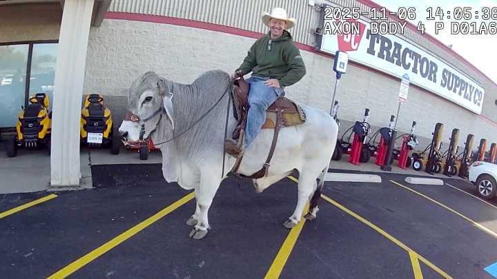 People Panic And Call Cops When Man Spotted Riding Bull In Ohio Parking Lot