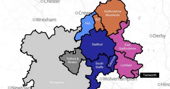 Newcastle wants to go it alone in local authority shake