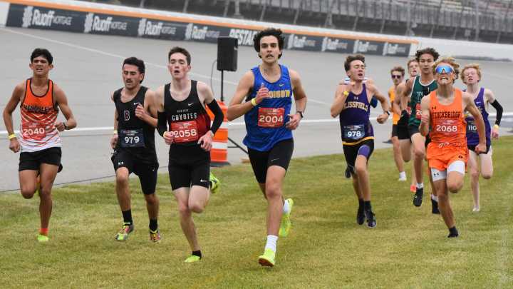 PHOTOS: Lenawee County XC leaves it all on the course at MHSAA state finals held at MIS