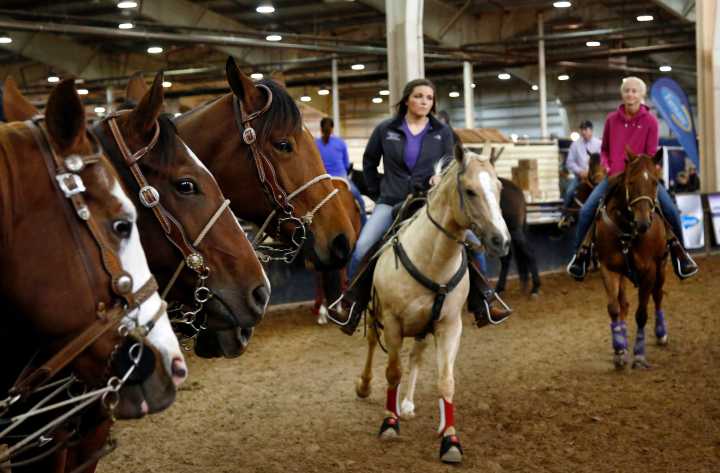 Multiple Oklahoma events cancelled as highly contagious horse virus spreads