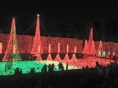 Christmas Lights in the Acres is a dazzling display in Plantation