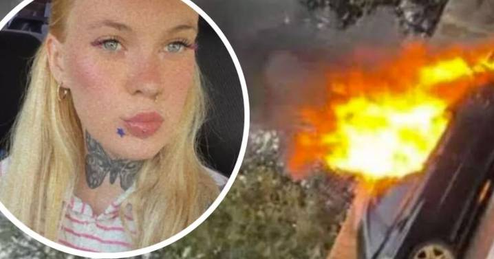 Mum screams at son to 'run' as car is suddenly engulfed in flames
