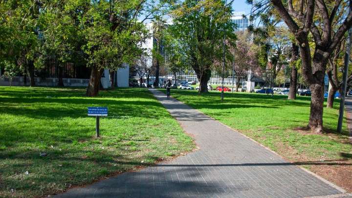 Presupuesto Participativo: cuáles son los 24 proyectos más votados por los rosarinos