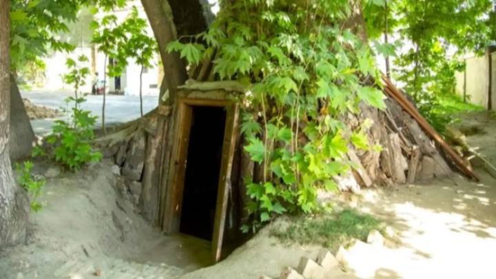 Francés descubrió un tesoro en su jardín mientras construía una piscina: ¿qué fue lo que halló?