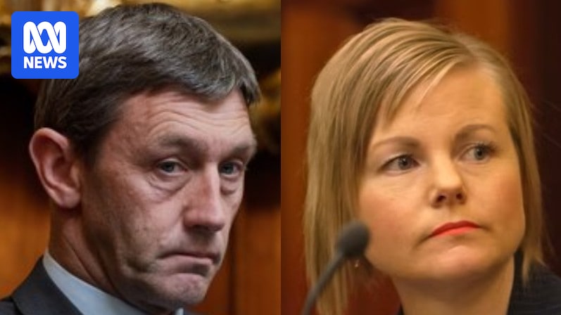 Key independent Tasmanian MLCs express concerns over Macquarie Point stadium ahead of pivotal vote