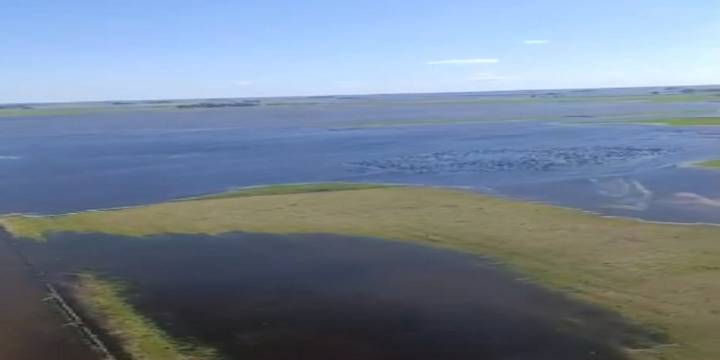 Estiman más de 5 millones de hectáreas afectadas por las inundaciones en PBA y hay temor por el impacto en la producción