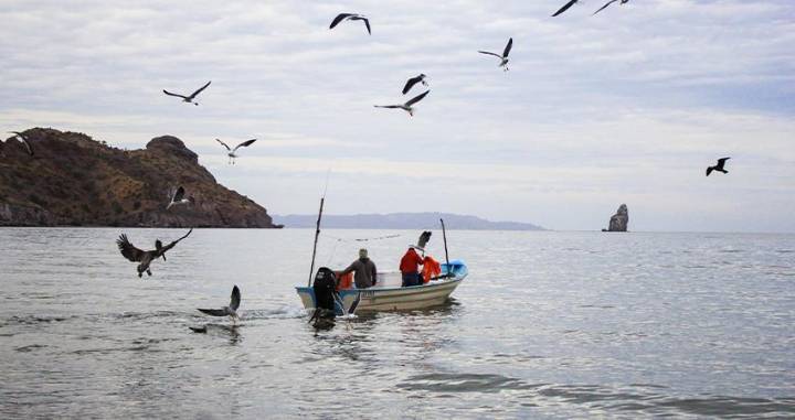 ¿Un paso hacia la justicia social? México incorporará las pérdidas y daños en sus nuevos compromisos climáticos