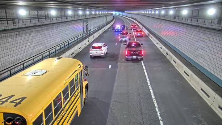 Wrong-way rover: Dog is rescued from a busy Boston tunnel during rush hour
