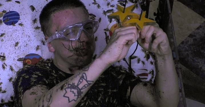 I'm a Celebrity fans praise star after 'horrifying' Bushtucker trial