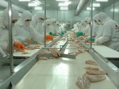 Se agrava la crisis de Granja Tres Arroyos y tambalean las plantas de la principal productora de pollos de la Argentina