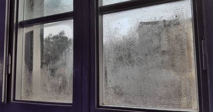 Stop condensation forming in your kitchen by making one small change when cooking