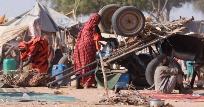 Darfur bleeds again as El Fasher falls to RSF in one of Sudan’s darkest massacres