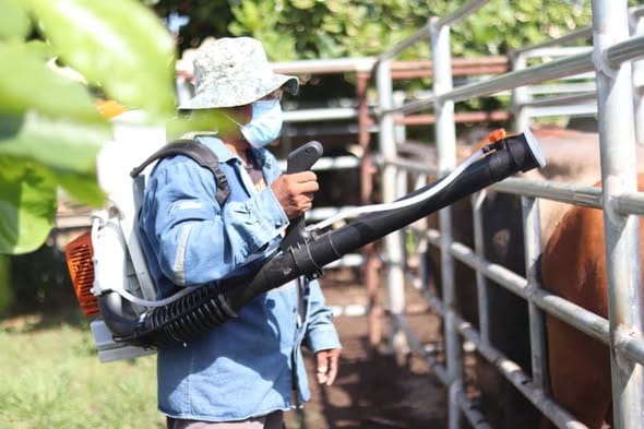 Campeche, sin certificación ganadera
