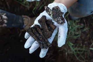 Investigan hallazgo de restos humanos en Culiacán tras operativo de búsqueda