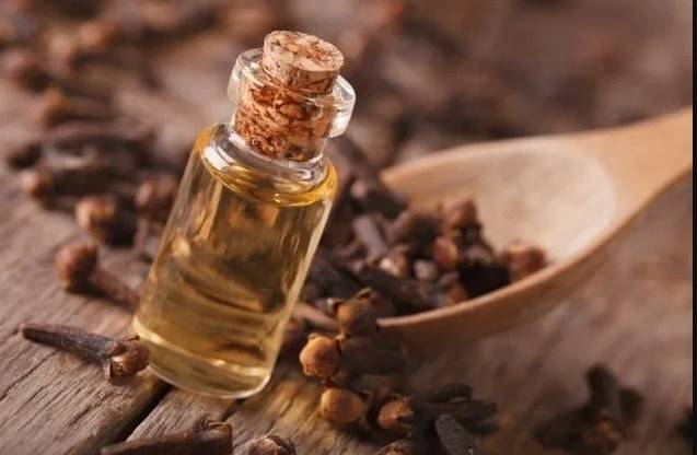 Secretos del clavo de olor, pequeño pero poderoso aliado para la salud 
