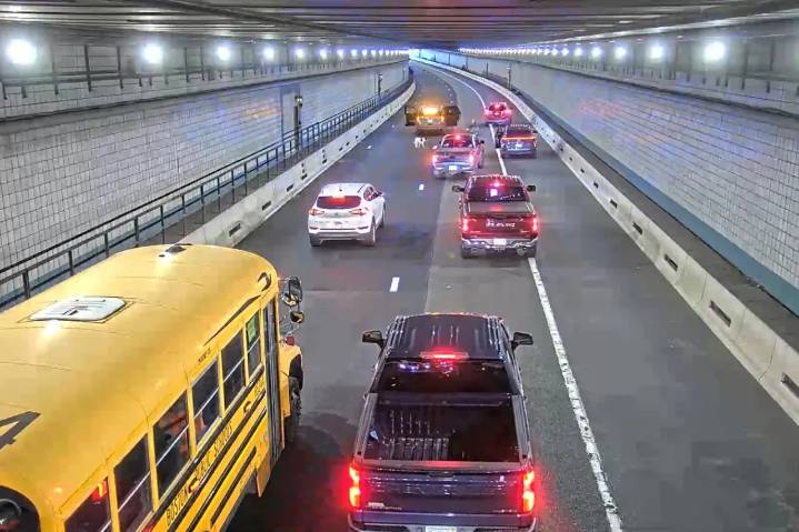 Policía salva a cachorro que trotaba contra el tráfico en túnel concurrido