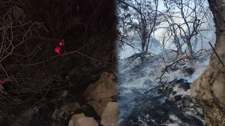 Controlan incendio forestal en Quechualla